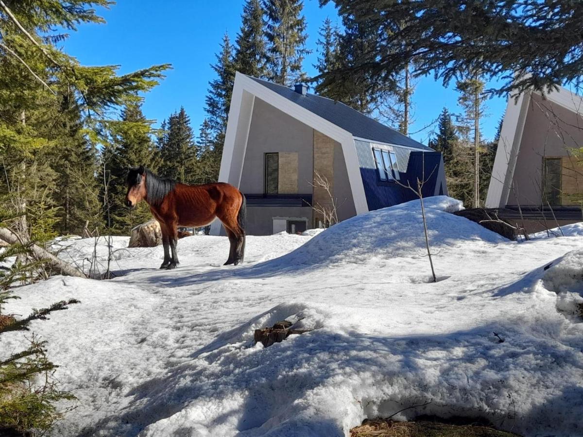 Olympic Oasis Villa Jahorina Luaran gambar